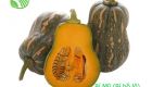 Bí Mỹ - Bí Hồ Lô