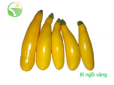 Yellow Zucchini