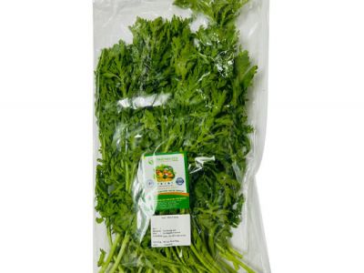 Garlard Chrysanthemum