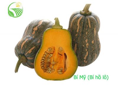 American Pumpkin