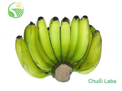 Laba Banana