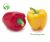 Color Bell Capsicum