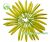 Flowers Green Needle