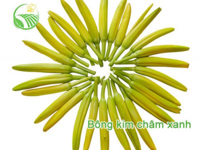 Flowers Green Needle