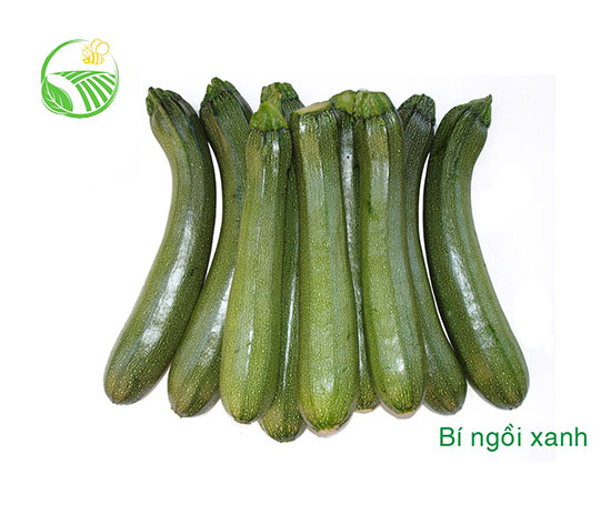 Bí Ngồi Xanh