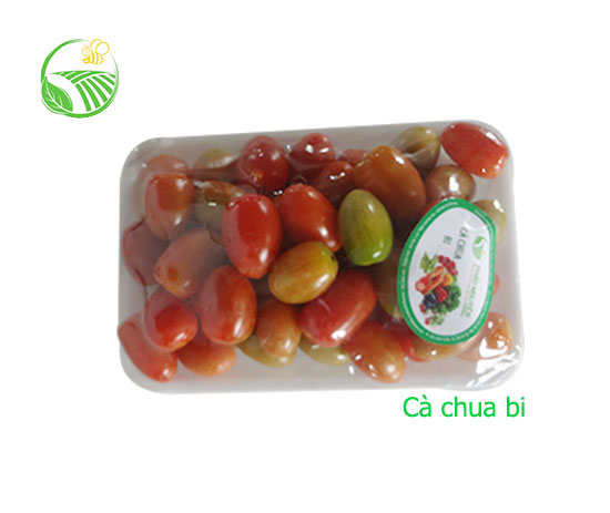 Cà Chua Bi