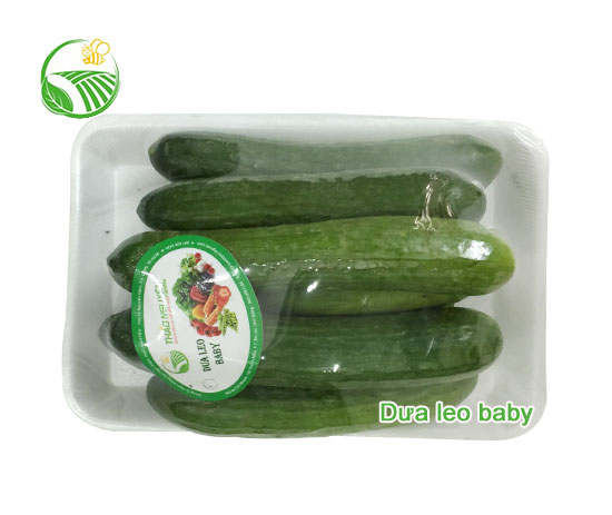 Dưa Leo Baby