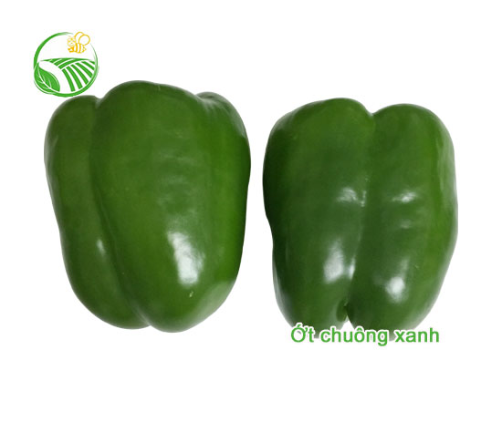 Ớt Chuông Xanh