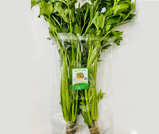 Cần Tây Thủy Canh