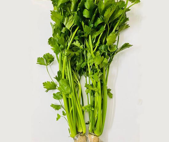 Cần Tây Thủy Canh