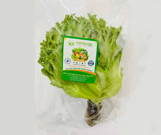 Xà Lách Thủy Tinh Thủy Canh